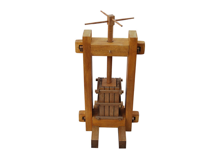 The single screw oil press