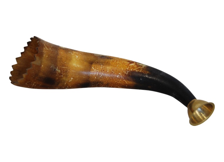 Ancient Greek keras or bykane horn trumpet with a curved animal horn and mouthpiece